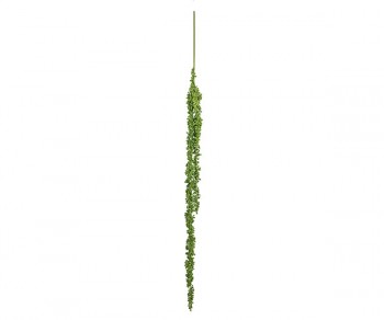 SUCCULENTE DA APPENDERE...
