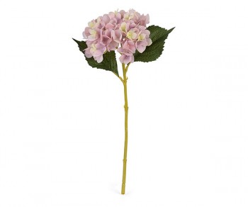 ORTENSIA MALVA 460 (Quant....