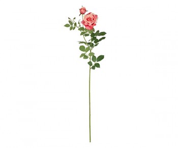 ROSA ROSSA C/BOCCIOLO 1000...