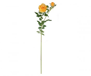 ROSA GIALLA C/BOCCIOLO 1000...