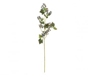 VIBURNUM BLU h1100 (Quant....