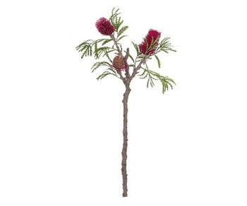RAMO BANKSIA H.860  (Min. 4)