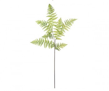 RAMO FELCE   h1800 (Quant....