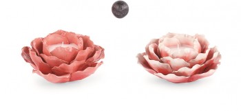 PEONIA ROSA CANDELA...