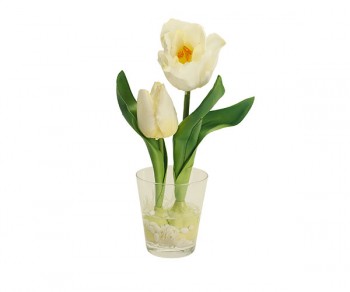 VASO C/2 TULIPANI BIANCHI...