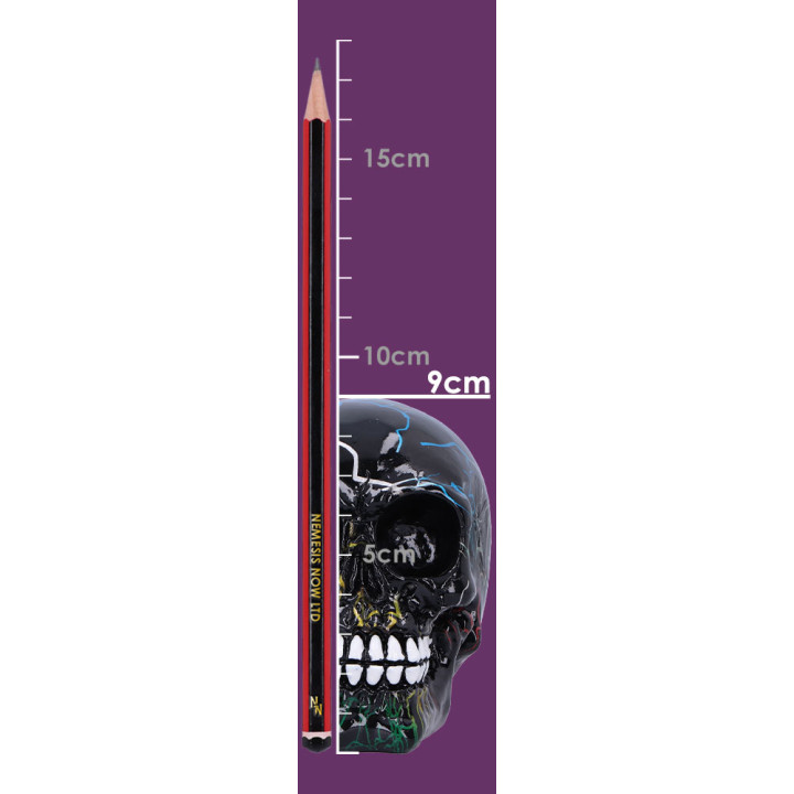 Electro (Medium) (Pack of