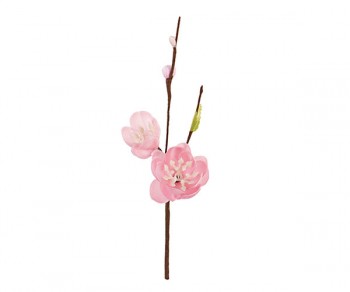 PICK 2 FIORI PESCO H.170 
