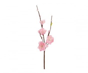 PICK 4 FIORI PESCO h260...