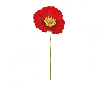 PAPAVERO ROSSO Ø70xh160...