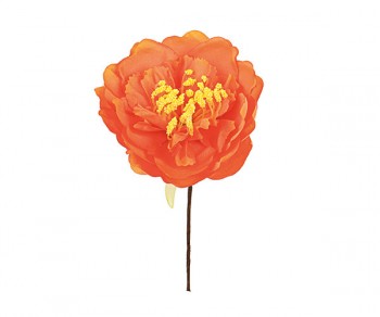 PEONIA ARANCIONE Ø70xh160...