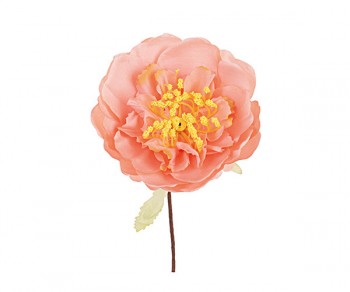 PEONIA ROSA D.100 H.160...