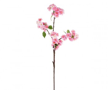 RAMO FIORI PESCO ROSA h1080...