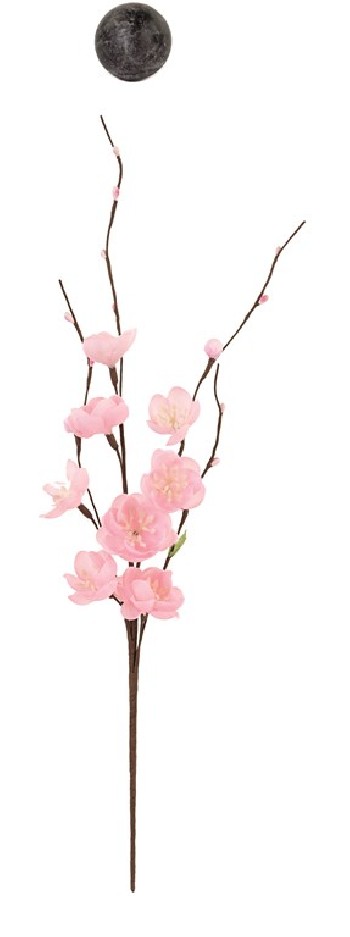 RAMO FIORI PESCO h400...
