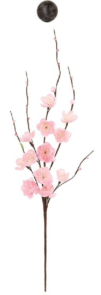 RAMO FIORI PESCO h500...