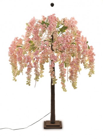 ALBERO GLICINE ROSA C/78...