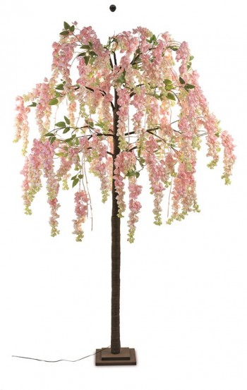 ALBERO GLICINE ROSA C/126