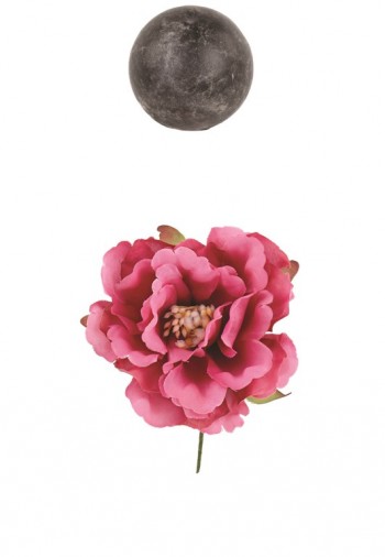 PICK PEONIA FUXIA Ø70...