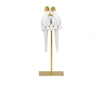 COPPIA PAPPAGALLI SU...