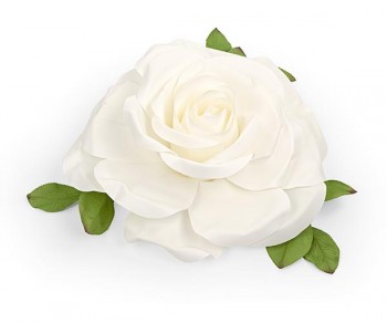 ROSA BIANCA D.700 (Quant....