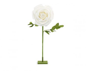 ROSA BIANCA CON STELO...