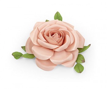 ROSA ROSA D.300 (Quant....
