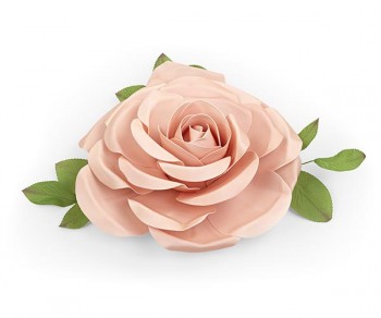 ROSA ROSA D.500 (Quant....