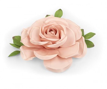 ROSA ROSA D.700 (Quant....