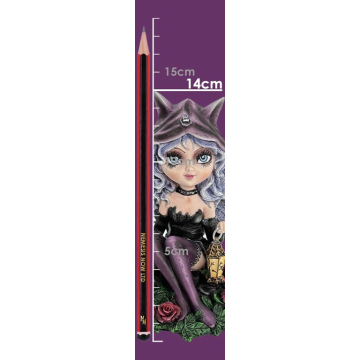 Midnight Fae
