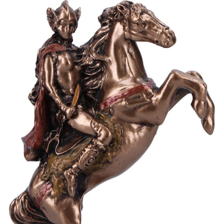 Valkyrie Chooser of the S
