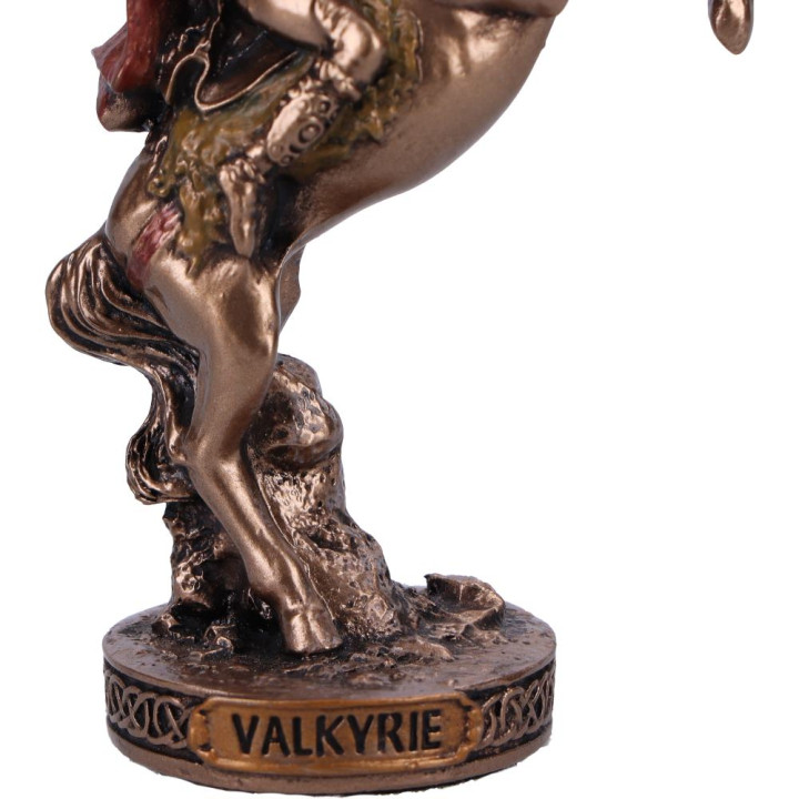 Valkyrie Chooser of the S