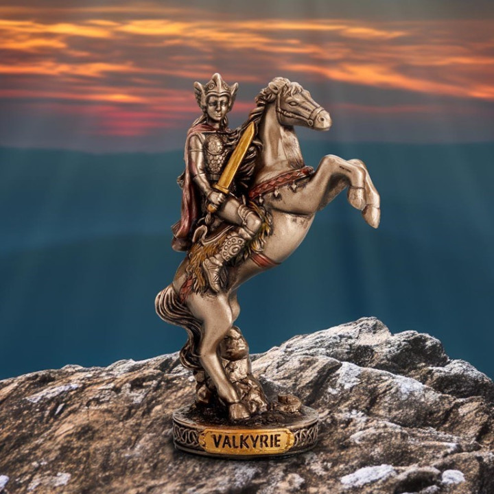 Valkyrie Chooser of the S