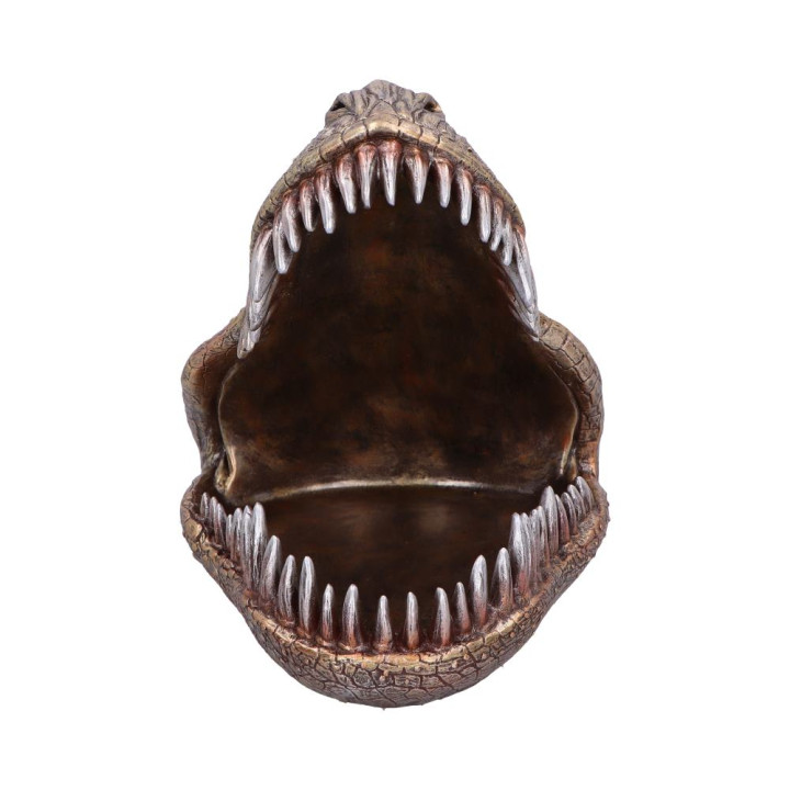 Tyrannosaurus Rex Dish 24