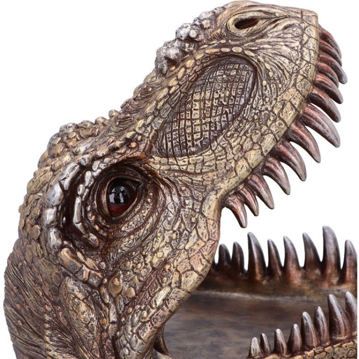 Tyrannosaurus Rex Dish 24