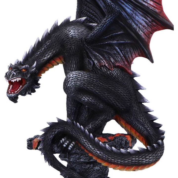 Cathorons Call 49cm