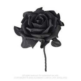 Single Large Black Rose w