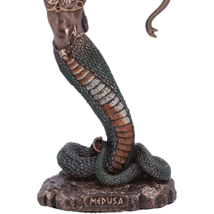 Medusas Wrath (Medium) 1