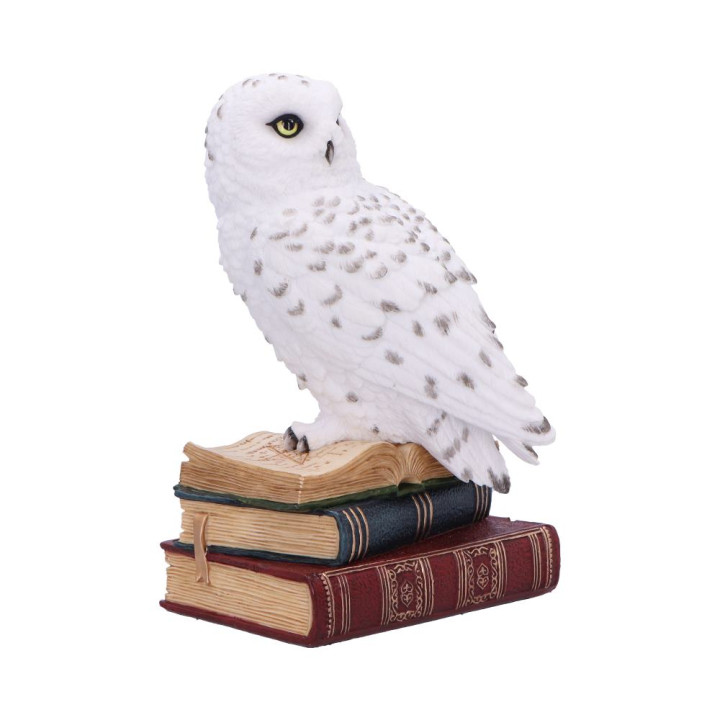 Library of Wisdom 17cm