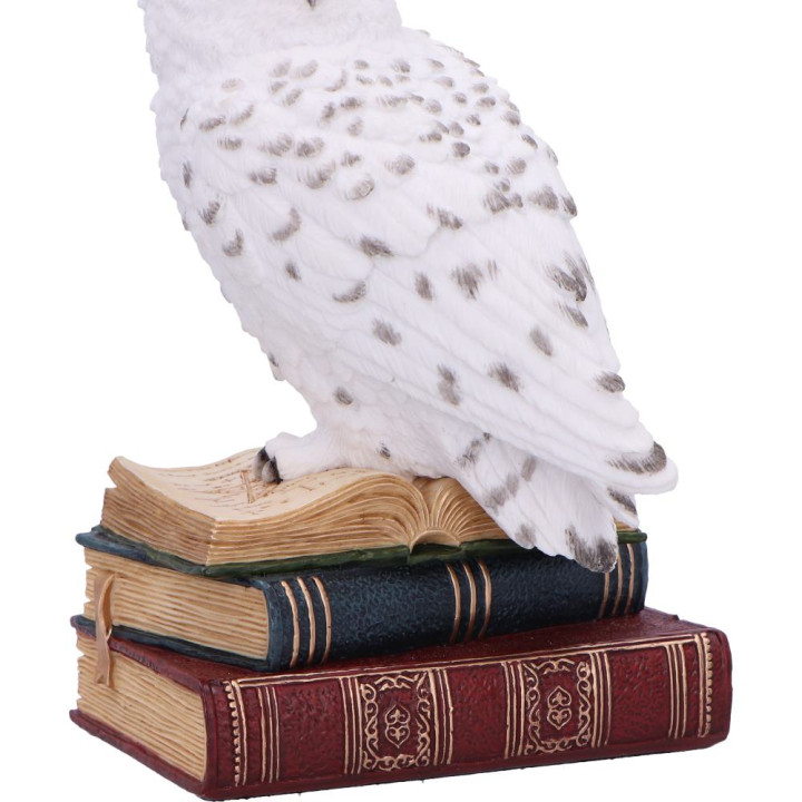 Library of Wisdom 17cm