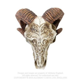 Skrimshaw - Rams Skull