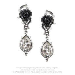 Bacchanal Rose