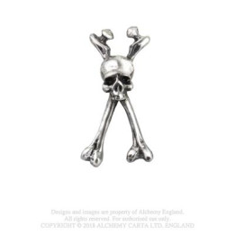 Long Bone
