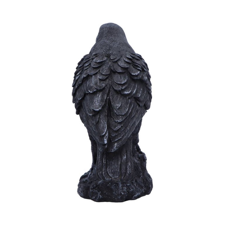 Raven Messenger 25cm