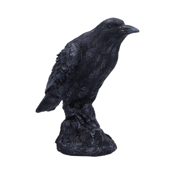 Raven Messenger 25cm