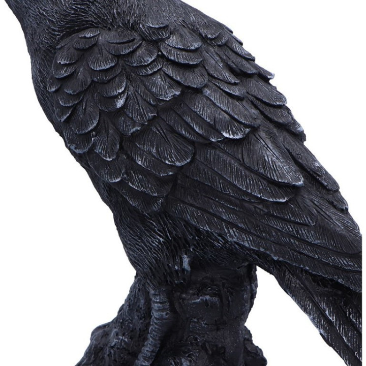 Raven Messenger 25cm
