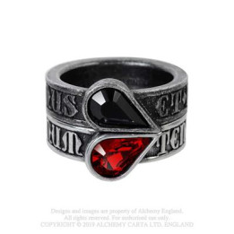 Twin Heart Promise Ring