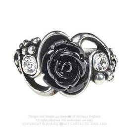 Bacchanal Rose