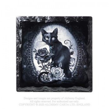 Paracelsus' - Cat Roses