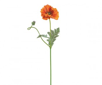 PAPAVERO ARANCIO H.740 (M