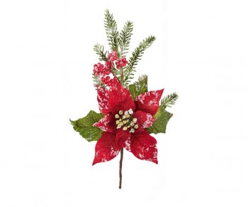 STELLA NATALE ROSSA...