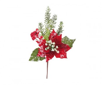 STELLA NATALE ROSSA...